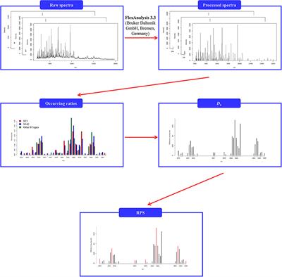 Incorporating Statistical Test and Machine Intelligence Into Strain Typing of Staphylococcus haemolyticus Based on Matrix-Assisted Laser Desorption Ionization-Time of Flight Mass Spectrometry